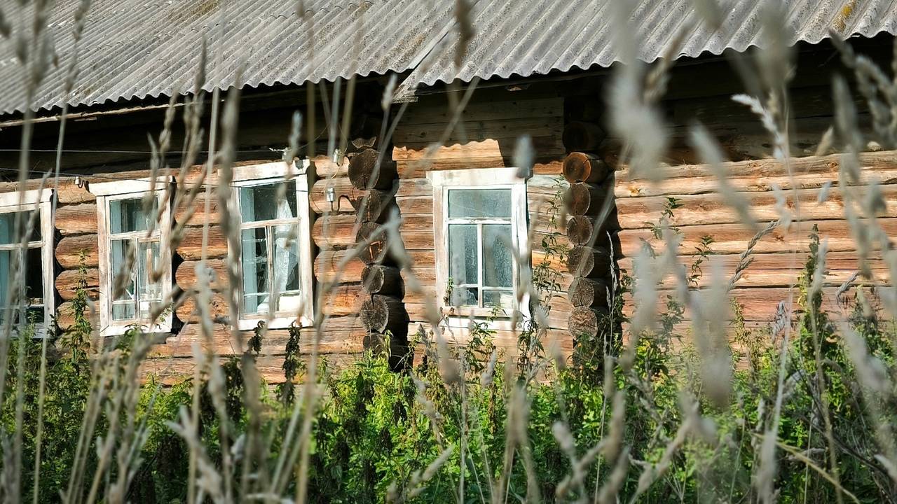 Главная картинка новости: С 2 августа начнут забирать землю: всех, у кого участок или дача в собственности, ждет неприятное правило