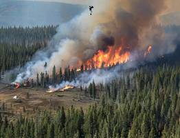 Парашютисты-пожарные оперативно локализовали возгорание в Коми