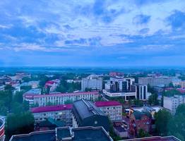 Антимонопольная служба Коми выявила массовые нарушения в рекламной сфере