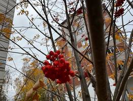 «Ноябрь будет просто адовый». Синоптики раскрыли прогноз на конец осени