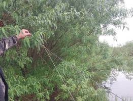 В заповедниках Коми выявили браконьеров с запрещенными снастями