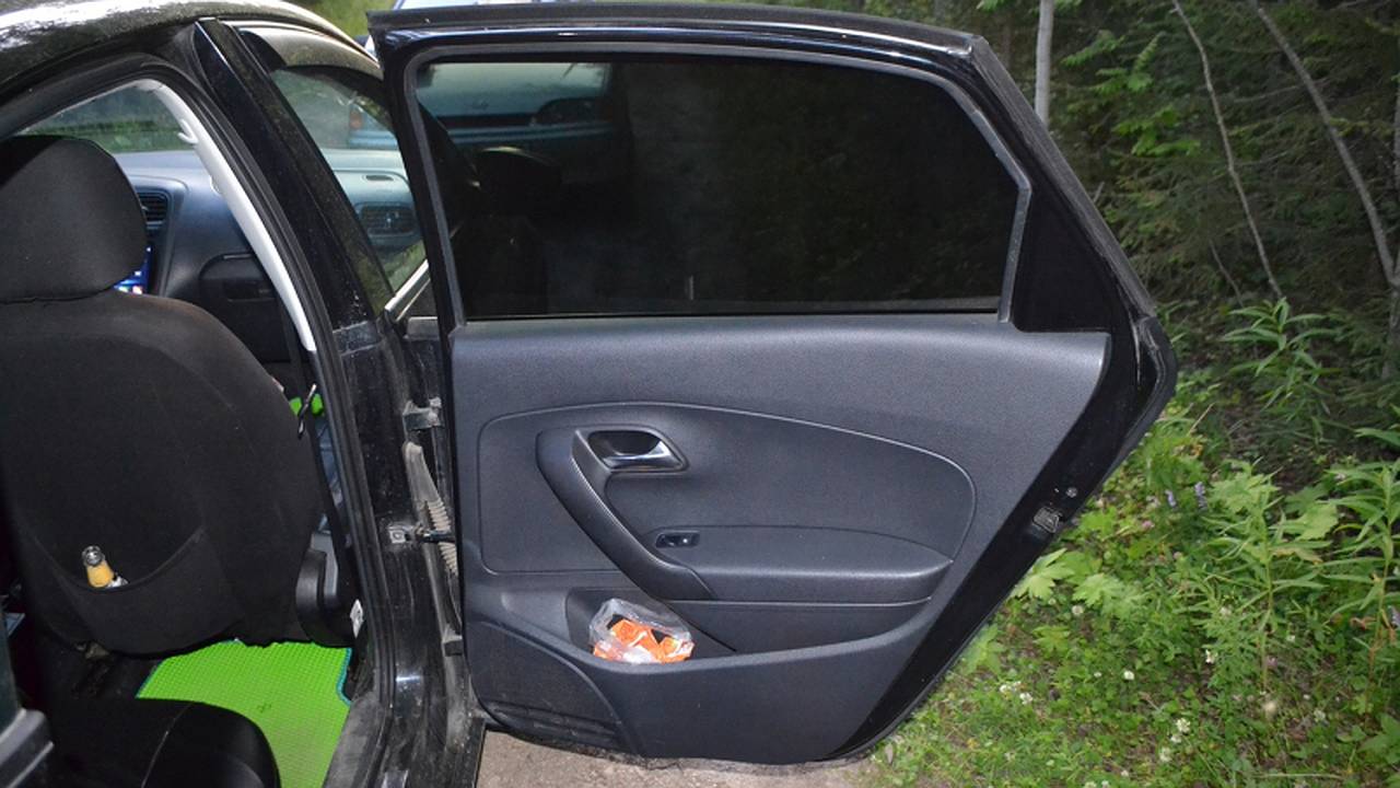 Главная картинка новости: В Коми задержали женщину с наркотиками, полученными из тайника в лесу