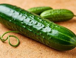 Почему огурцы растут крючком: 4 причины и как это исправить