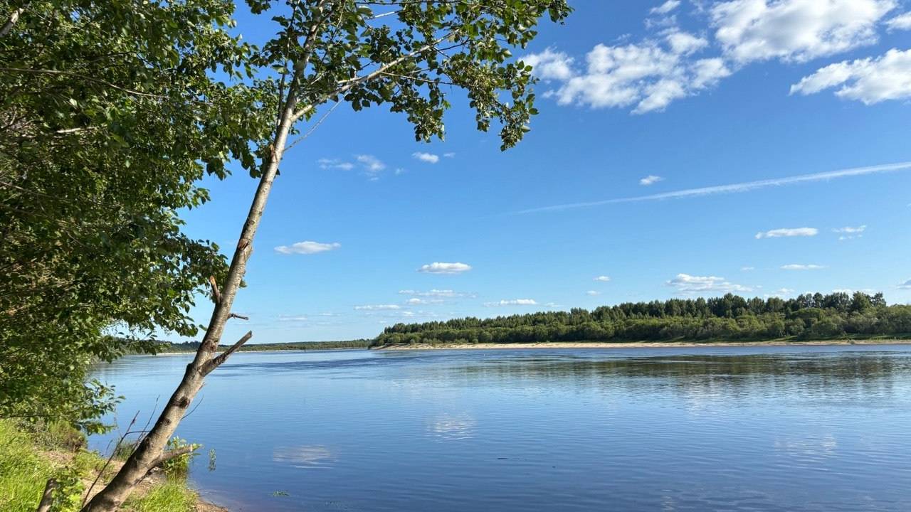 Главная картинка новости: 2 августа в Коми сохранится отличная летняя погода: от тепла до жары