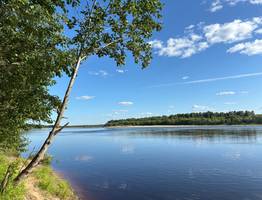 2 августа в Коми сохранится отличная летняя погода: от тепла до жары