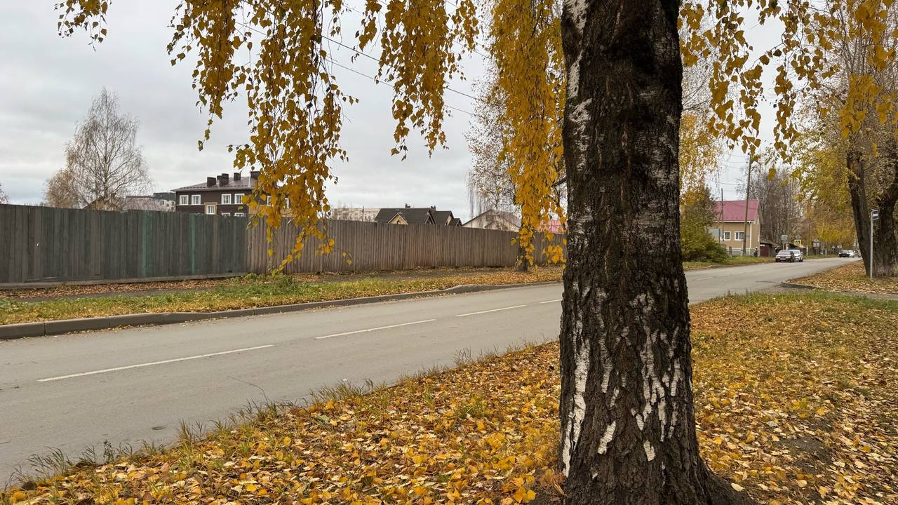 Главная картинка новости: «Октябрь будет как страшный сон». Синоптики озвучили, что ждать в середине осени