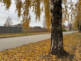 «Октябрь будет как страшный сон». Синоптики озвучили, что ждать в середине осени