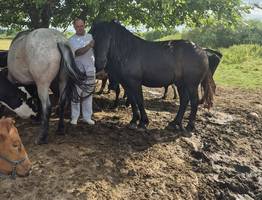 В Коми прилузский фермер задумал превратить свое хозяйство в турцентр