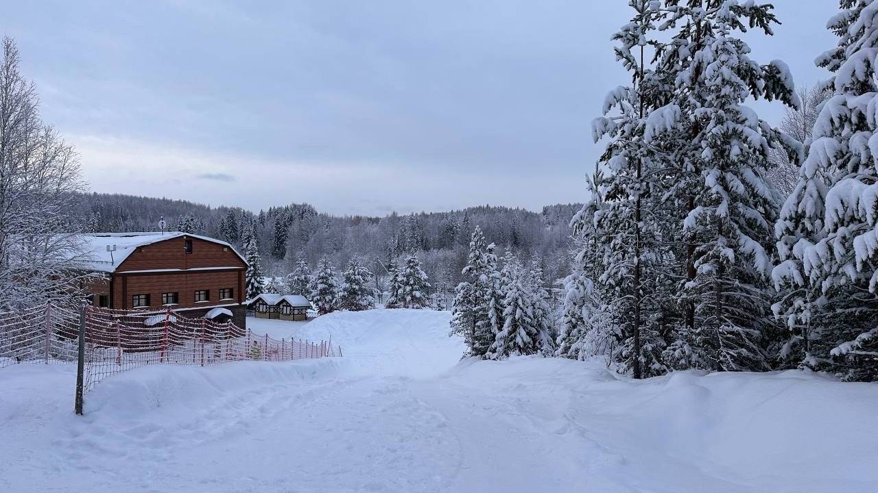 Главная картинка новости: «Вся зима будет аномальная». Синоптики раскрыли, к чему нужно готовиться