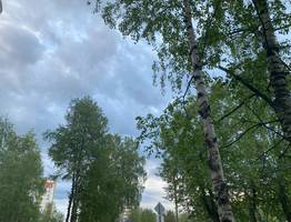 5 августа в Коми ожидается весь спектр летних сюрпризов: жара, дожди, гром и молнии