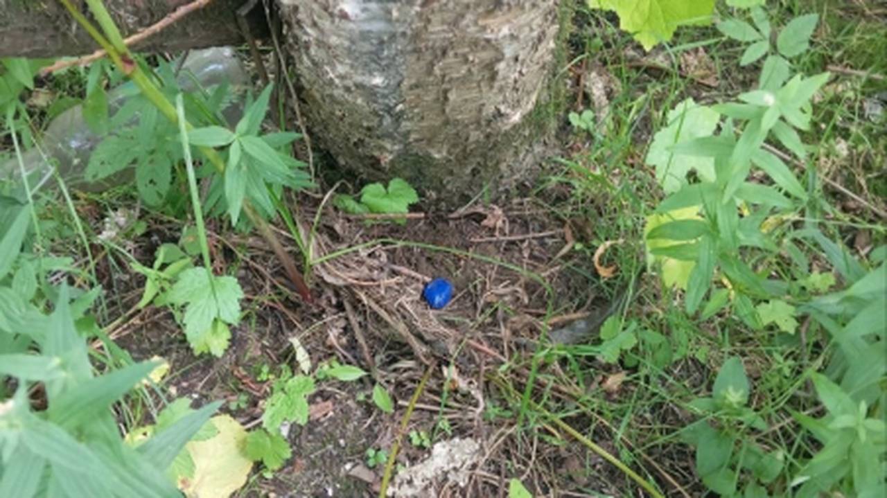 В Сыктывкаре задержали наркодилера с крупной партией запрещенных веществ