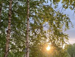 6 августа в Коми ожидается теплый день с грозами и кратковременными дождями