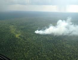 В Коми резко увеличилось количество лесных пожаров из-за гроз и неосторожности
