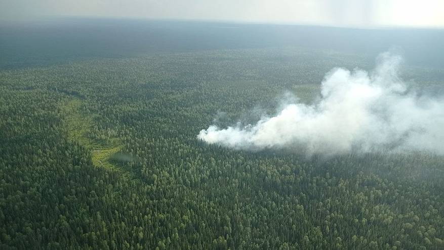 Главная картинка новости: В Коми резко увеличилось количество лесных пожаров из-за гроз и неосторожности