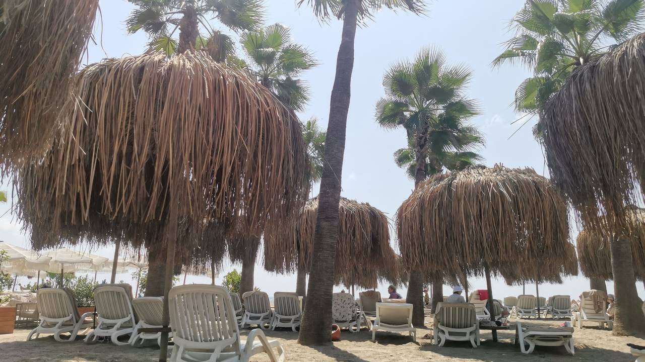 Главная картинка новости: Съездил в Абхазию: почему Страна души перестала быть дешевым направлением