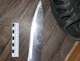 Житель Коми ответит перед судом за нападение на сожительницу и угрозы полиции