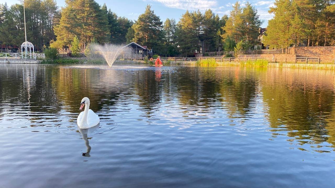 Главная картинка новости: «Октябрь будет просто адовый». Синоптики сказали, к чему нужно готовиться