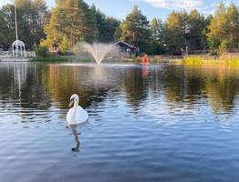 «Октябрь будет просто адовый». Синоптики сказали, к чему нужно готовиться