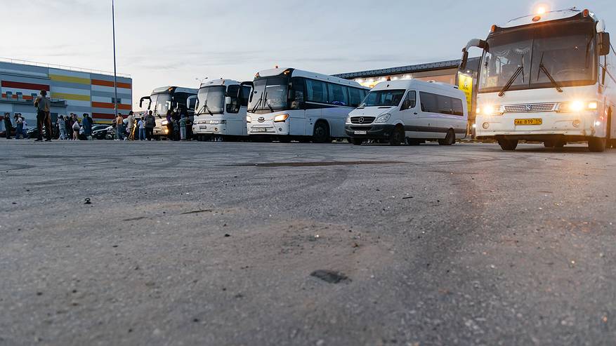 Главная картинка новости: 467 детей из Коми отправились на черноморское побережье