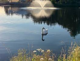 13 августа Коми ожидает переменчивая погода: теплые дни, прохладные ночи и грозы