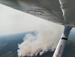 Шесть лесных пожаров угрожают природе Коми