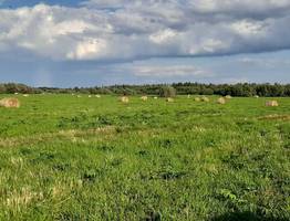 В Приполярье Коми готовятся к зиме: фермеры запасают рекордное количество кормов