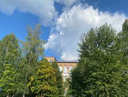 Лето постепенно покидает Коми: 15 августа прохлада и дожди