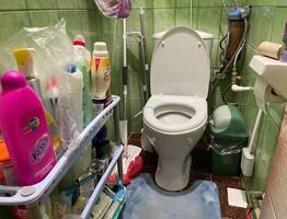 Как живут в Японии: особенность гигиены японских женщин, благодаря которым у них чистые туалеты, каких нет ни в какой стране