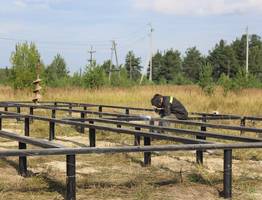 Прилузье Коми преображается: новые ФАП, дороги и благоустройство парка