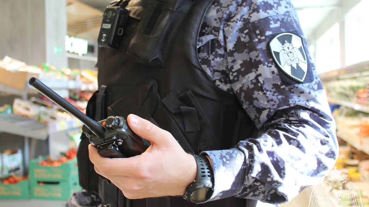 Главная картинка новости: Двойной провал при кражах: росгвардейцы задержали магазинных воришек в Коми