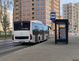 Сыктывкарский педагог на остановке подверглась оскорблениям от родителя ученика