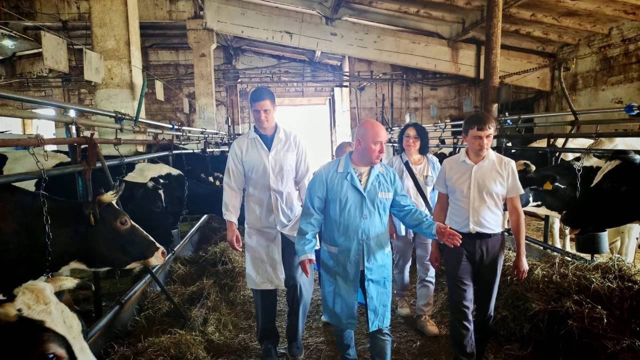Главная картинка новости: В Коми готовят масштабный проект: ферма на 1200 коров появится в 2026 году