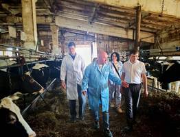 В Коми готовят масштабный проект: ферма на 1200 коров появится в 2026 году