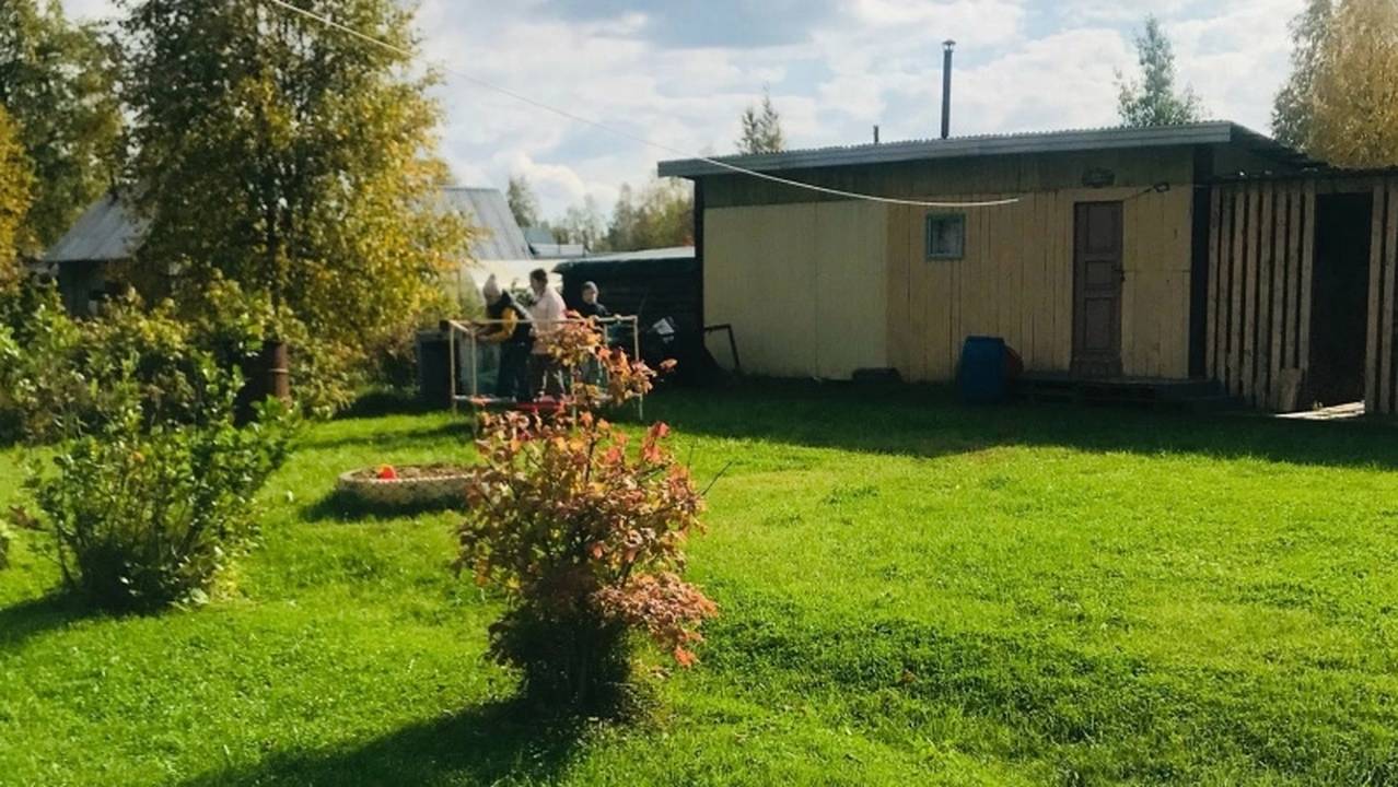 Главная картинка новости: Три ложки на кучу — перегниют даже толстые ветки: быстрый компост без усилий — земля будет как пух