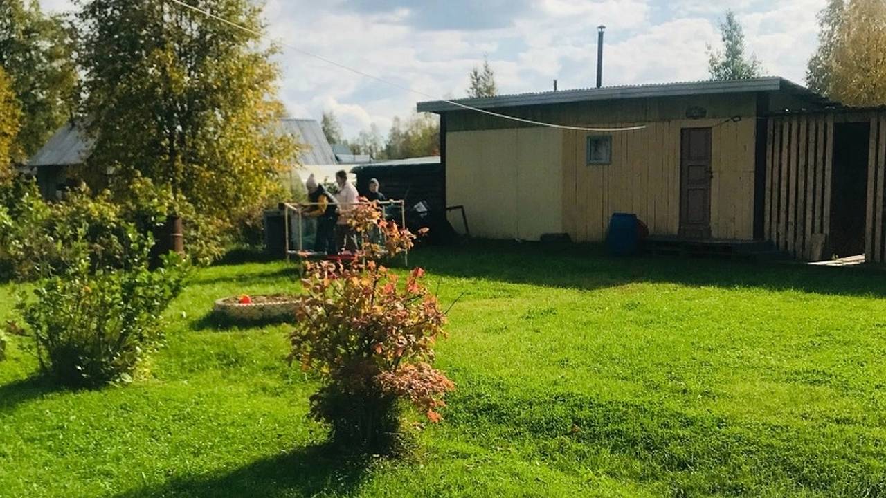 Главная картинка новости: Три ложки на кучу — перегниют даже толстые ветки: быстрый компост без усилий — земля будет как пух