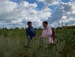 Банк и учёные Коми исследуют потенциал выращивания лекарственных растений на Севере