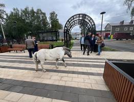 В Сыктывкарском поселке завершается благоустройство сквера с ротондой и мостиком