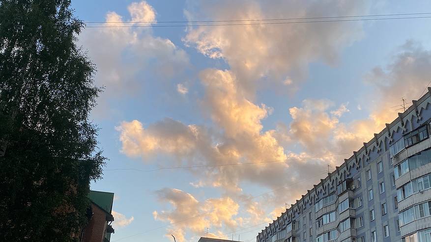 Главная картинка новости: 23 августа в Коми ожидаются погодные контрасты: грозовые ливни на севере и приятное тепло на юге