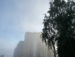 24 августа в Коми ожидается прохладная и дождливая погода