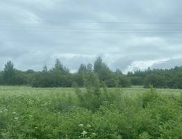 25 августа в Коми ожидаются грозы и резкие температурные перепады