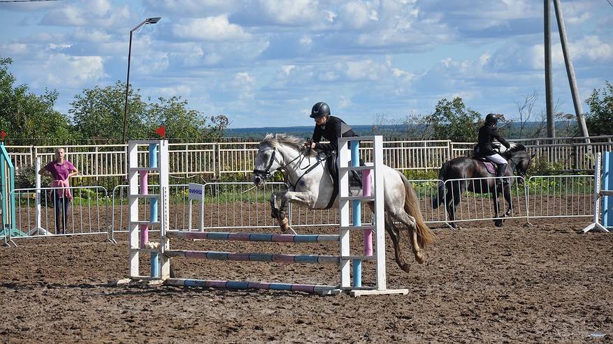 Главная картинка новости: В Коми в минувшие выходные прошли соревнования по конному спорту: итоги подведены