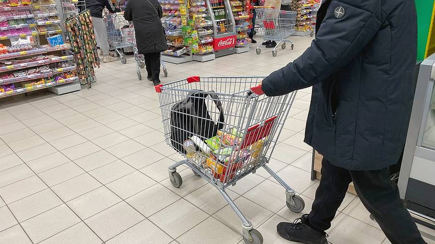 Главная картинка новости: Продукты бренда «Красная цена» для бедных, заявила подруга. А я некоторые товары расхватываю, цена полностью устраивает