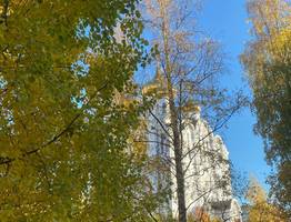 В начале сентября в Коми установится летнее тепло