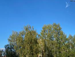 5 сентября "бабье лето" порадует Коми желанным дневным теплом