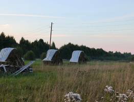 В Республике Коми продолжаются работы по заготовке кормов