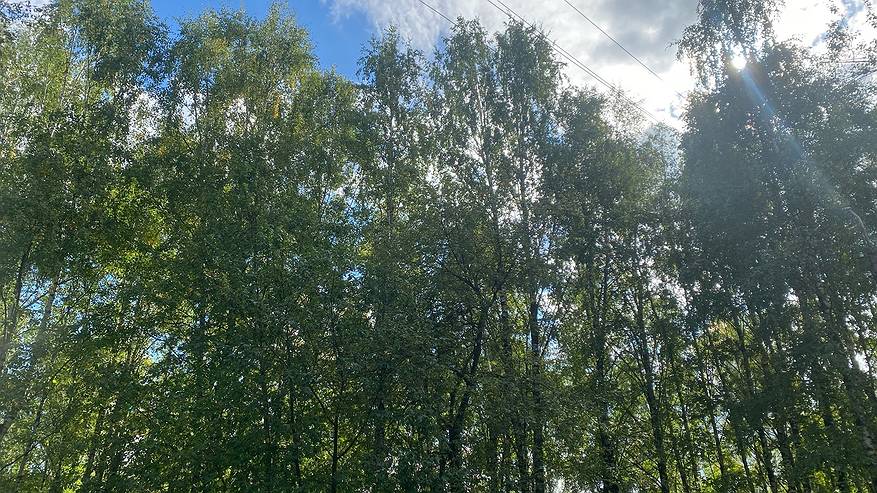 Главная картинка новости: 10 сентября принесет в Коми дожди, прохладу и перепад температур между районами в 10°C