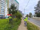 В Сыктывкаре благоустраивают Тентюковскую с сохранением зелёных насаждений