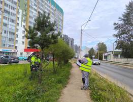 В Сыктывкаре благоустраивают Тентюковскую с сохранением зелёных насаждений