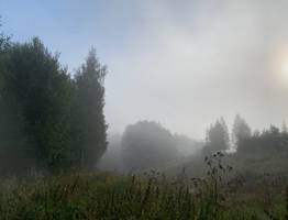 11 сентября туманы и ночная прохлада окутают Коми