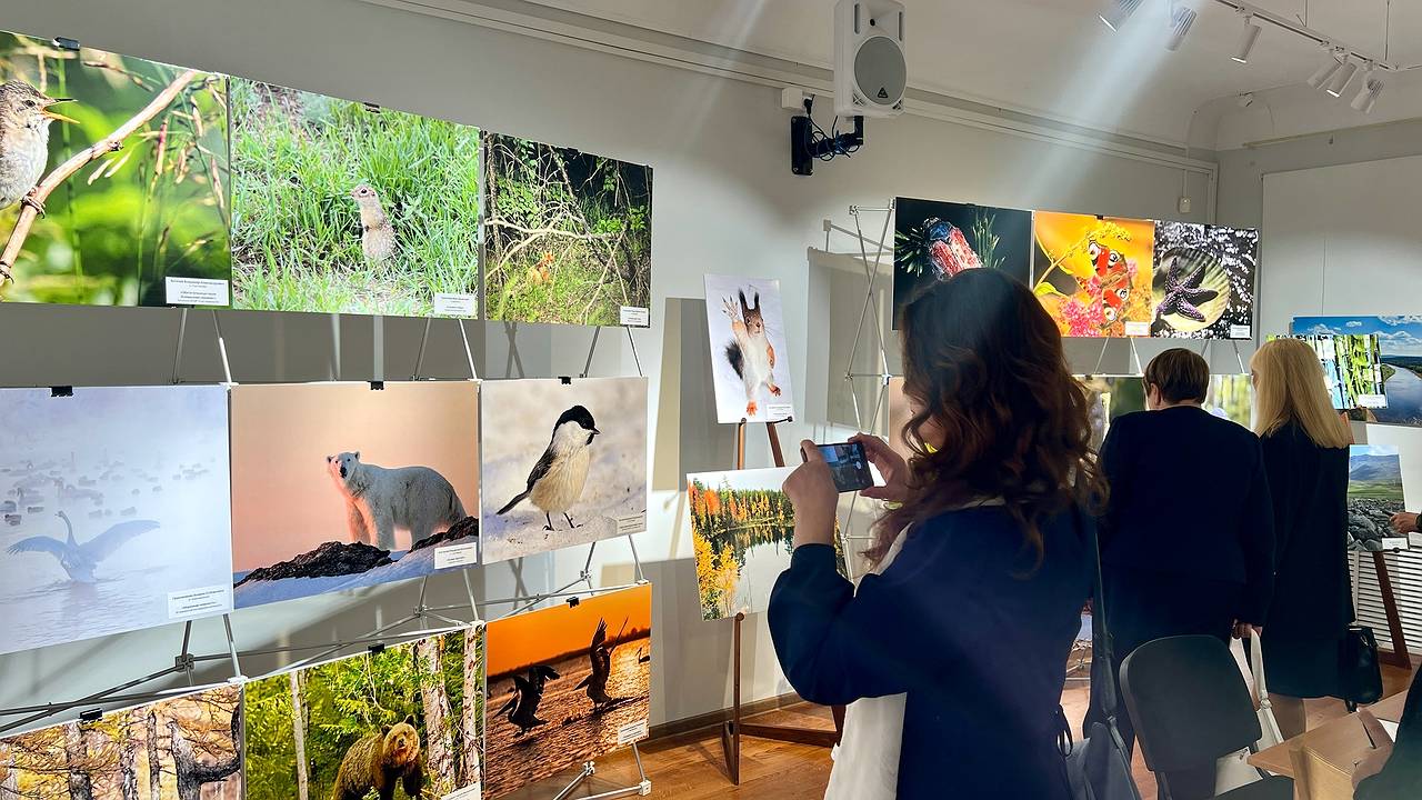 Главная картинка новости: В Сыктывкаре наградили победителей конкурса "Фотоохота на заповедных территориях"